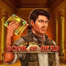 Book of Dead slot logo by Play'n GO at rewards-casino